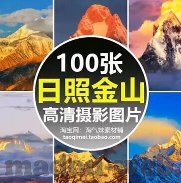 大象传媒视频下载网站-探索大象传媒视频下载网站的多元化娱乐体验