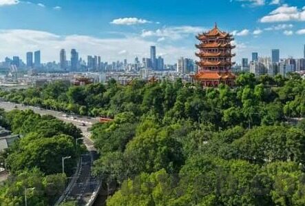 精品久久人妻av中文字幕-精品久久与人妻题材的中文字幕，网络内容审慎与文化边界的探讨