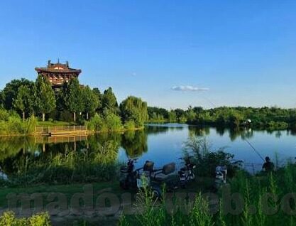 青青草成人在线观看视频-青青草，成人世界的一抹绿意