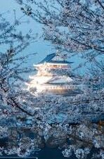 亚洲AV日韩AV无码导航-亚洲AV日韩AV无码导航，文化与娱乐的交汇点