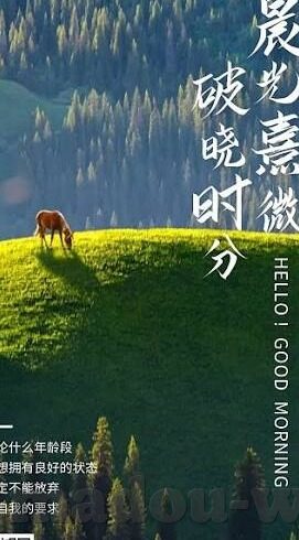 尤物网站91麻豆-探寻网络文化的多元视角，对尤物网站91麻豆现象的浅析