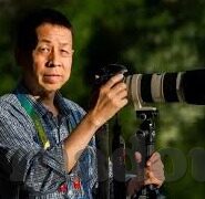 在线成人一区二区-探索在线成人教育，一区二区的多元化学习路径